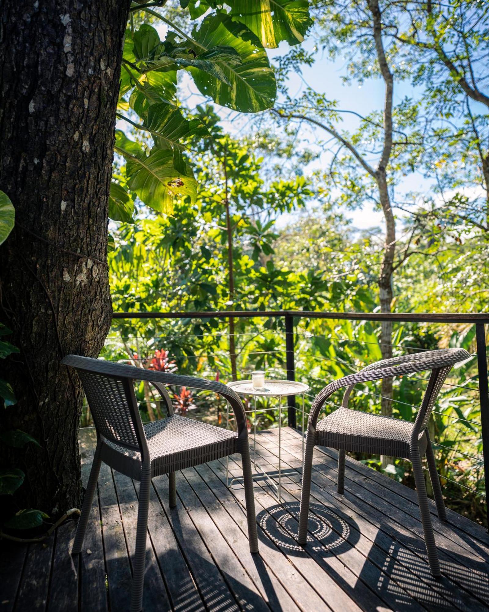 Feeling Trees Jungle Lodge Cabuya (Puntarenas) Exterior foto