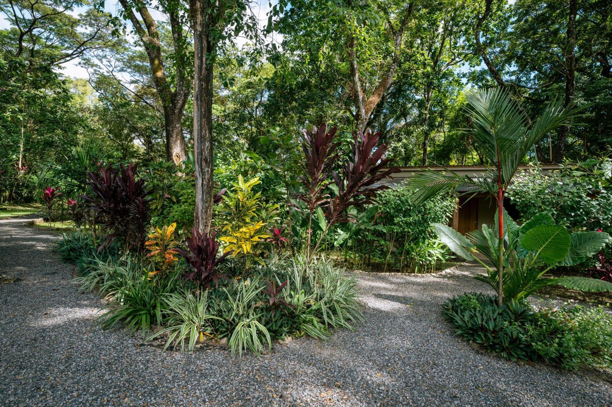 Feeling Trees Jungle Lodge Cabuya (Puntarenas) Exterior foto