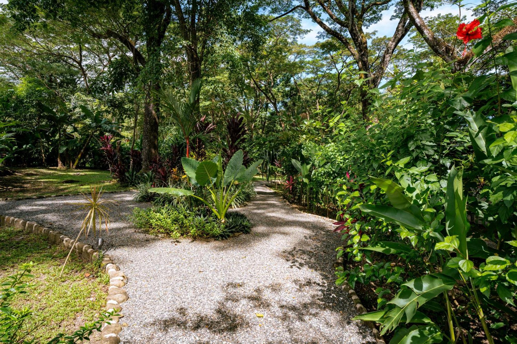 Feeling Trees Jungle Lodge Cabuya (Puntarenas) Exterior foto