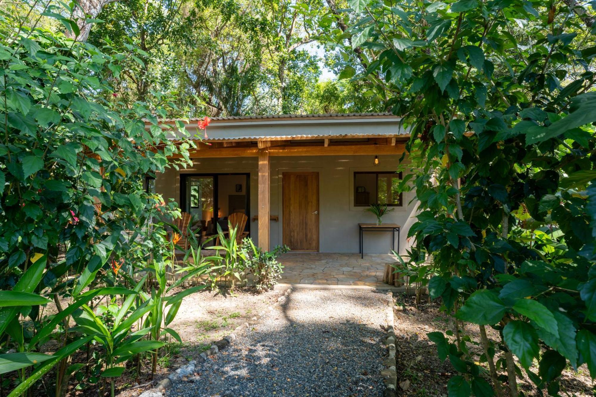 Feeling Trees Jungle Lodge Cabuya (Puntarenas) Exterior foto