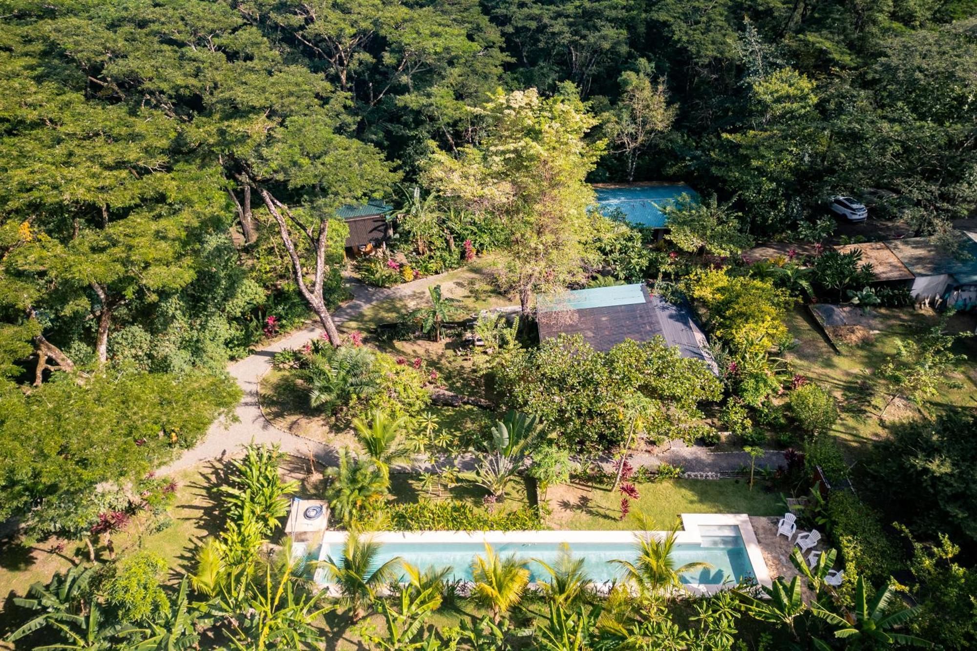 Feeling Trees Jungle Lodge Cabuya (Puntarenas) Exterior foto