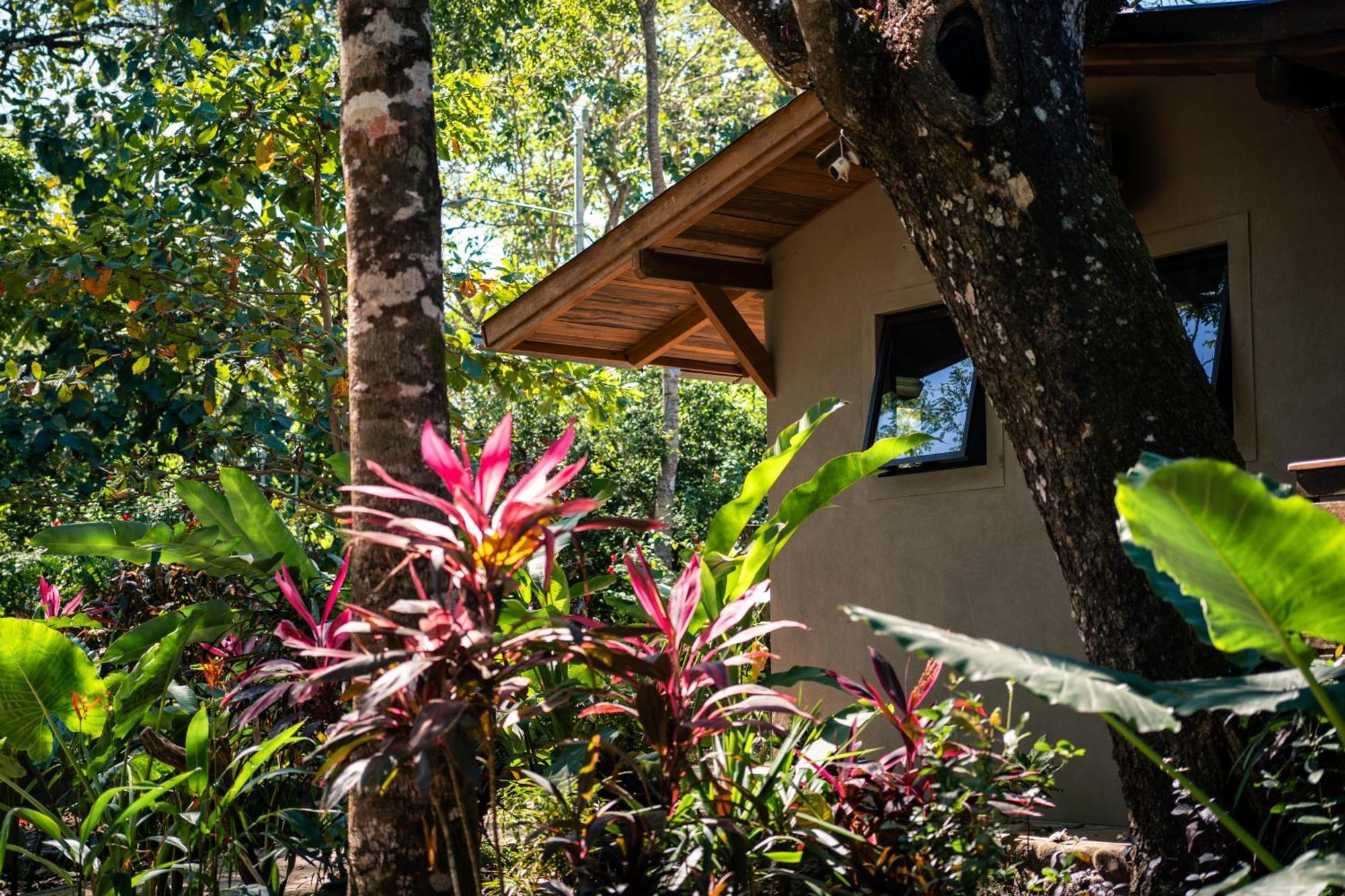 Feeling Trees Jungle Lodge Cabuya (Puntarenas) Exterior foto
